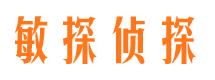 钦南侦探公司